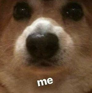 Meet your Posher, Brett